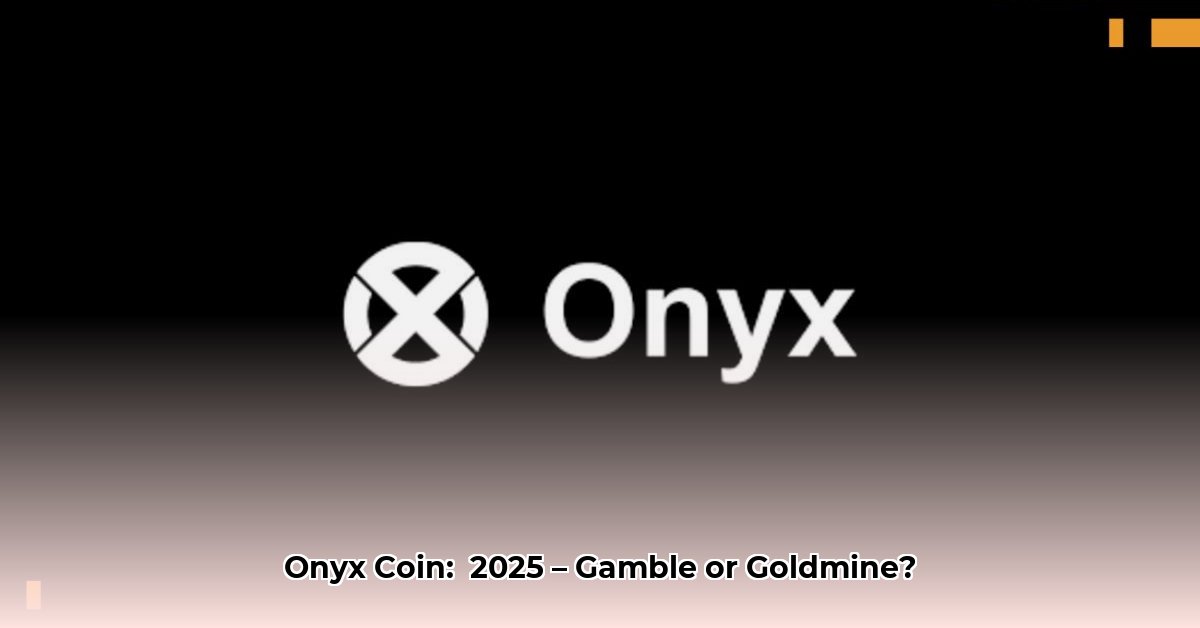 is-onyx-coin-a-good-investment